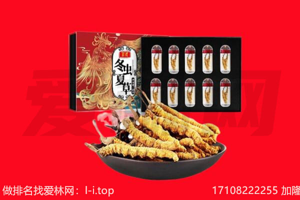 大兴安岭漠河回收虫草.jpg